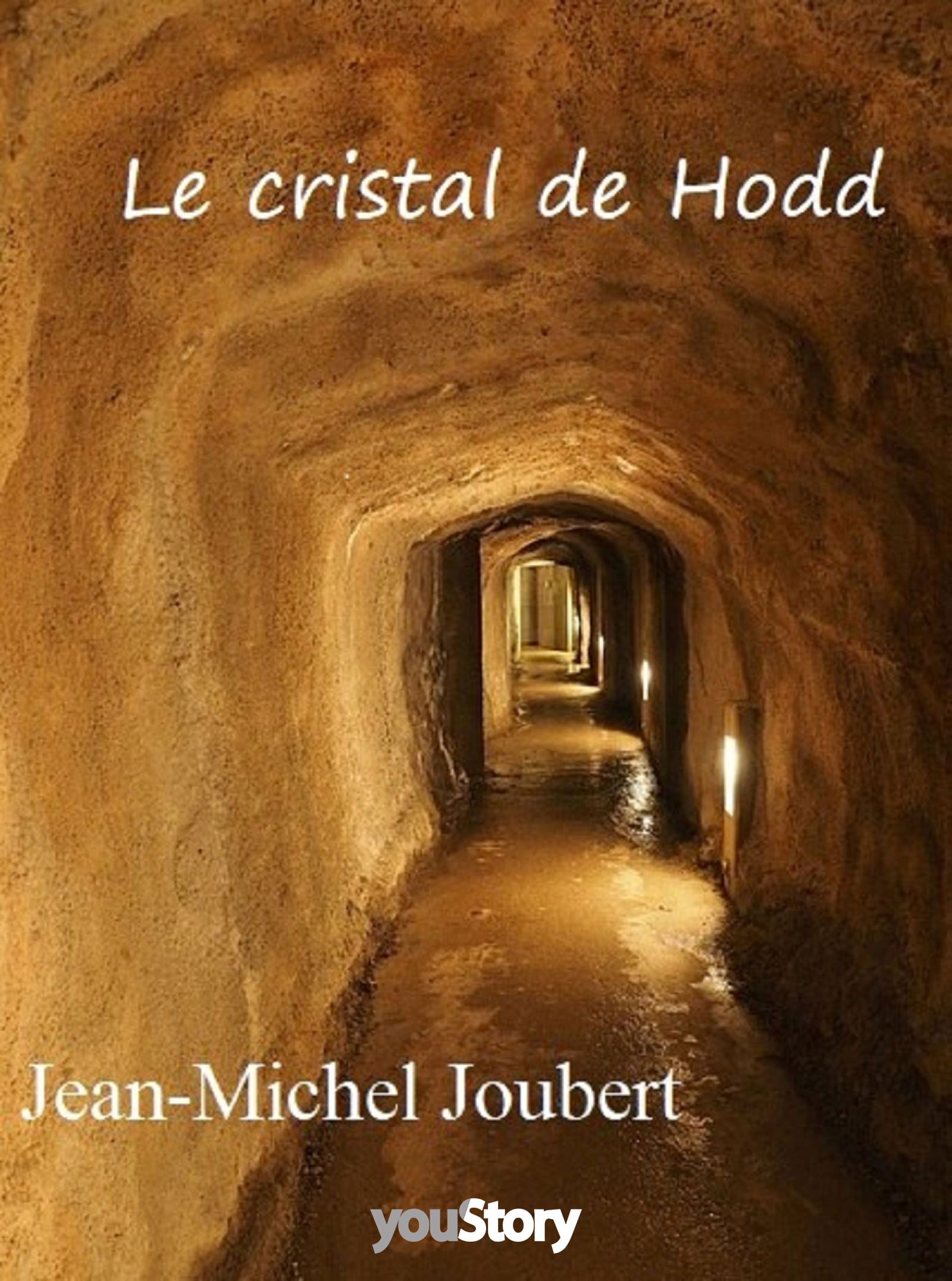 Couverture ebook Le cristal de Hodd