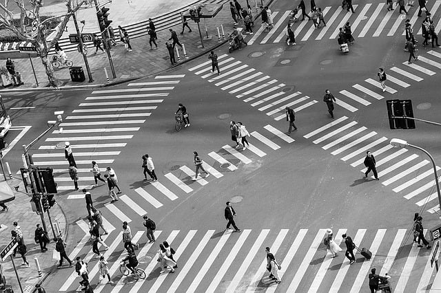 Statut juridique et fiscal des auteurs autoédités : quel chemin emprunter ?