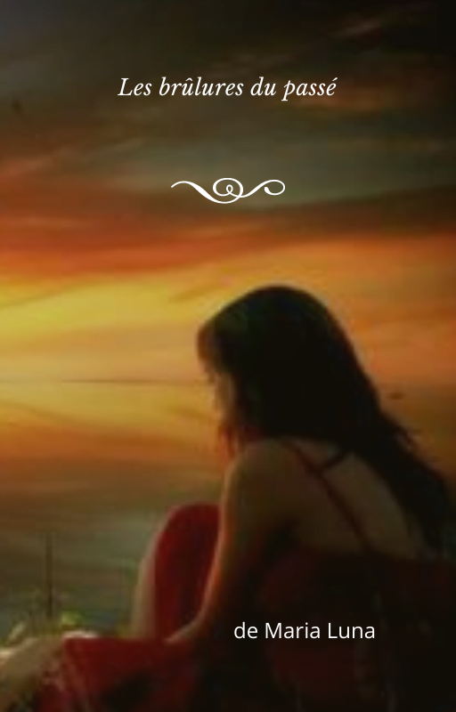 Couverture les brulures du passé