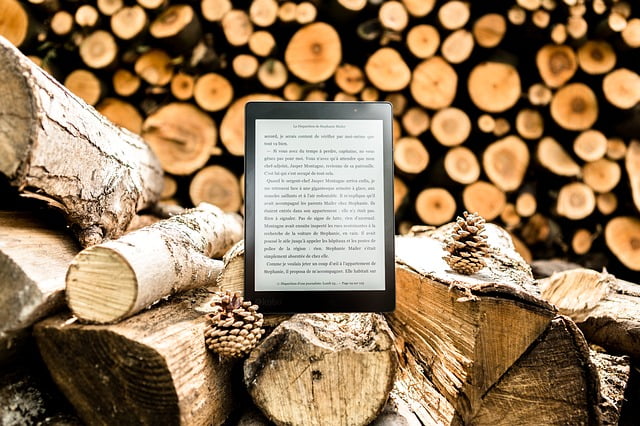 Mise en page ebook et livre numérique