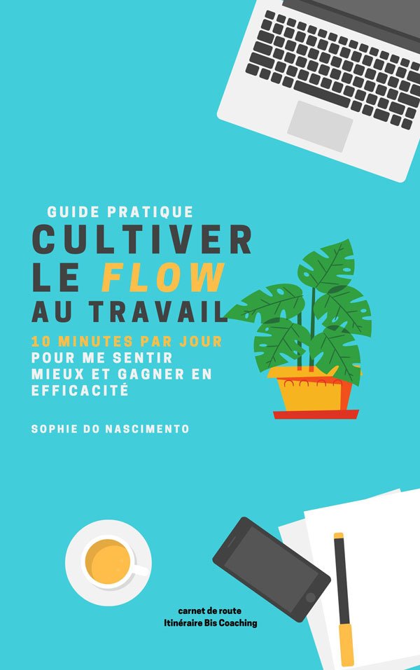 Couverture Cultiver le Flow au travail