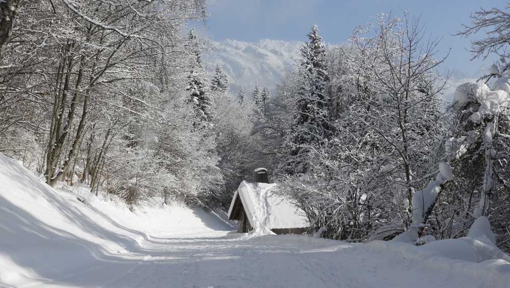 Chalet Plaine Joux 74 ©Michel Decremps