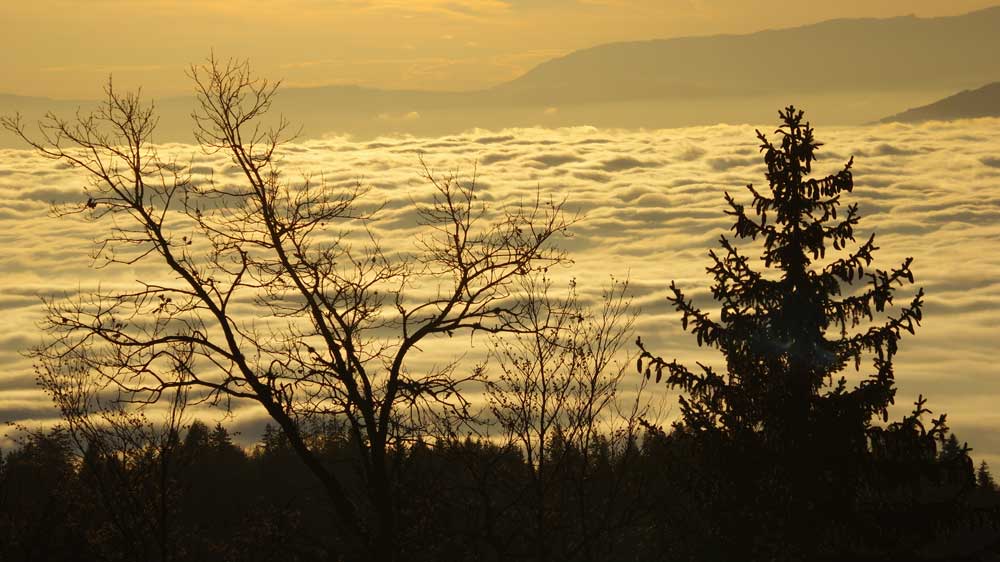 Mer de nuages Plaine Joux Ajon 74 ©Michel Decremps