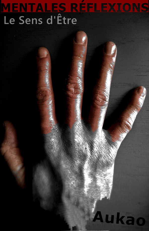 Couverture Mentales Réflexions Le sens d'être