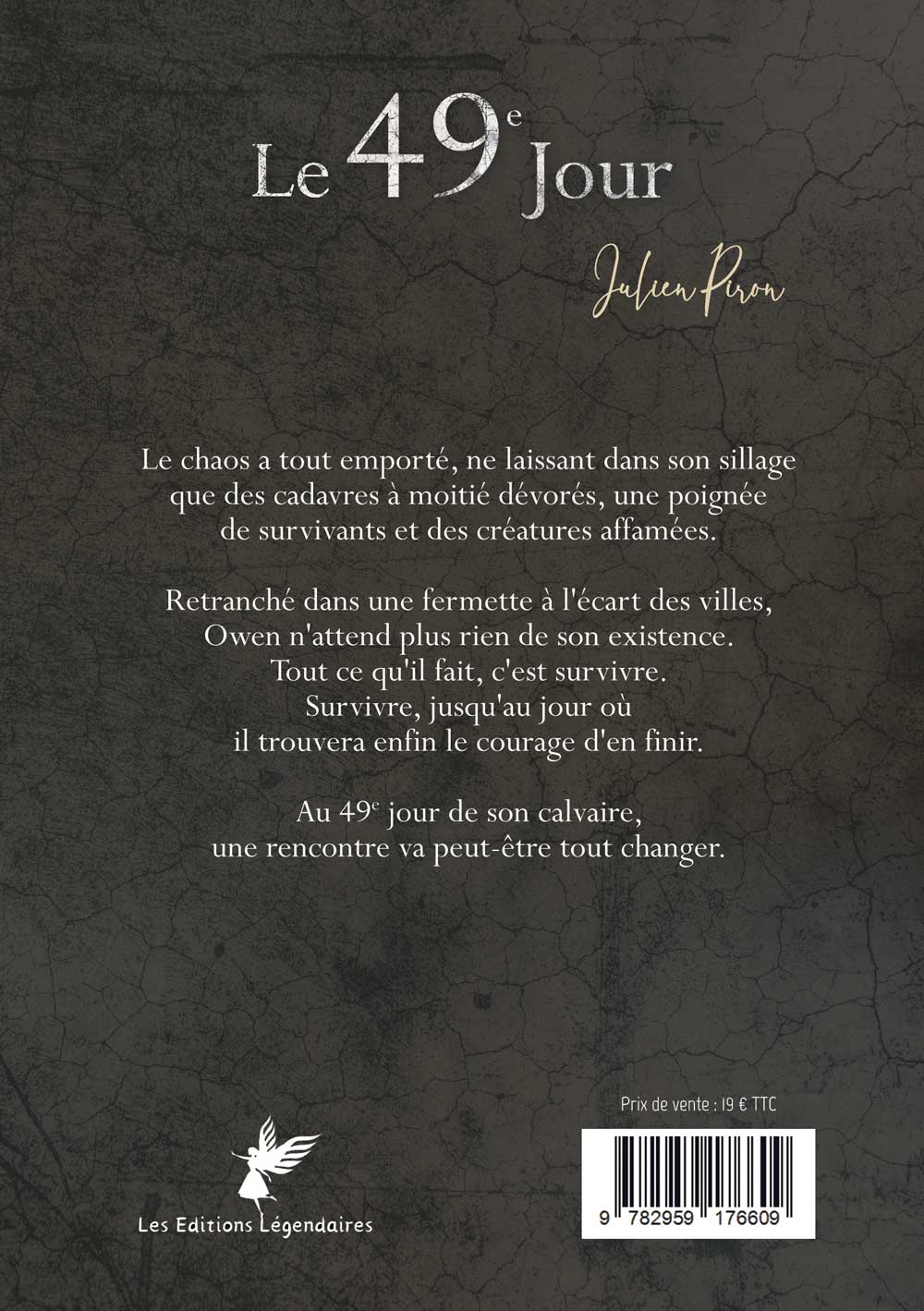 Back cover of LIVRE - LE 49e JOUR